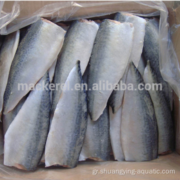 Κατεψυγμένο Ειρηνικό σκουμπρί Scomber Japonicus FILLET FISH FILLET